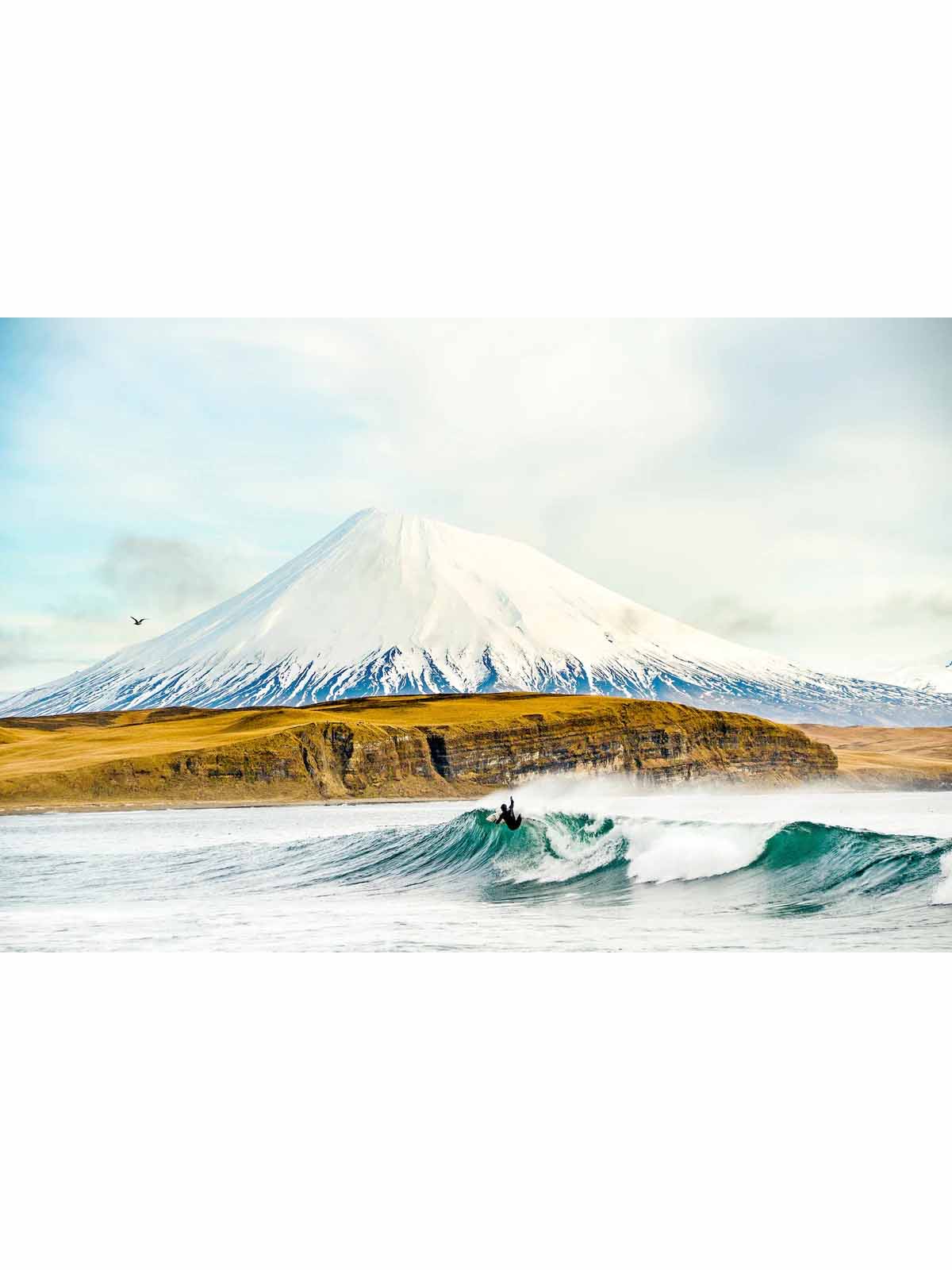 Gestalten The Oceans