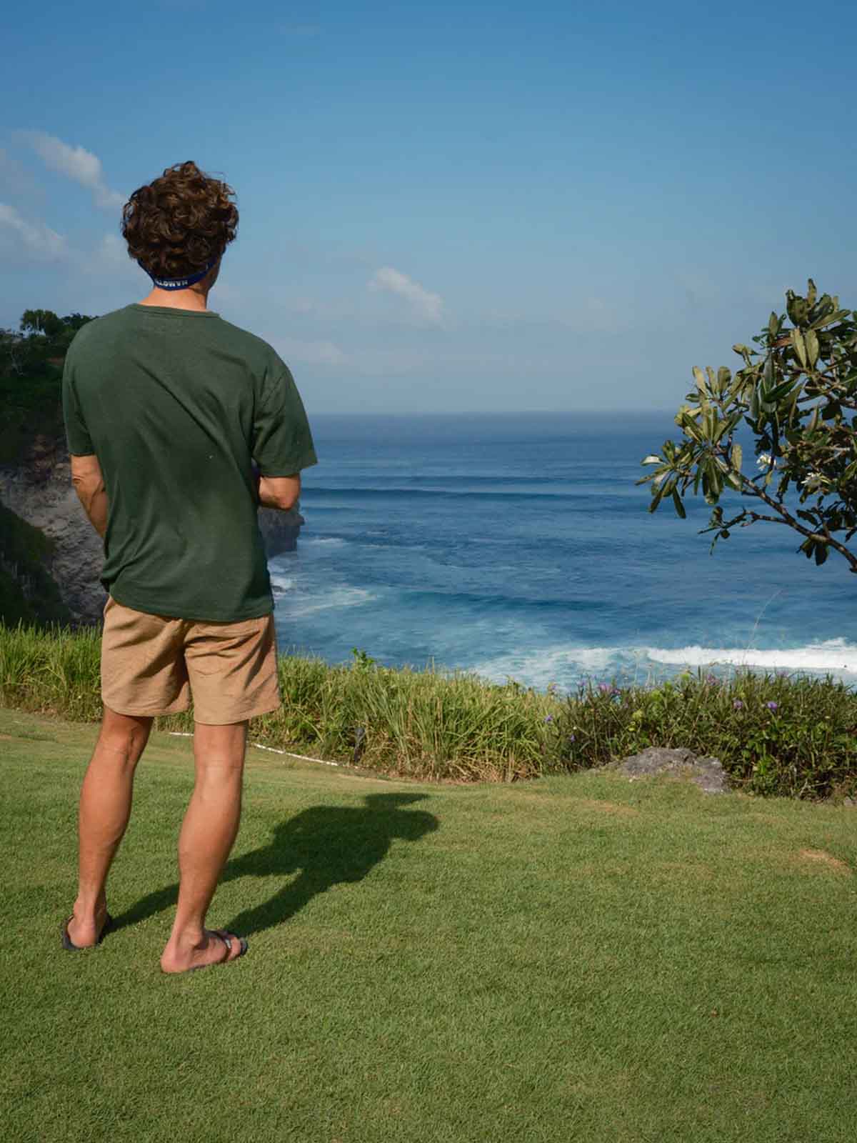Mollusk Hemp Tee Forest