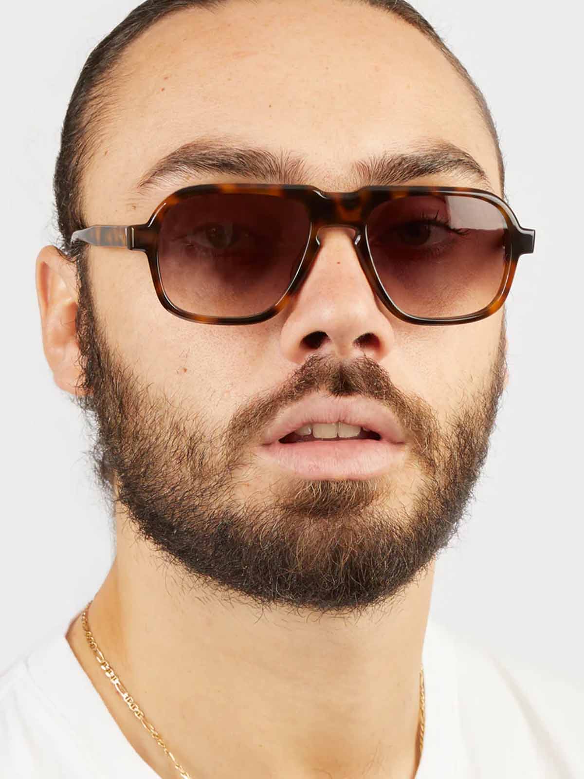 Oscar Deen Fraser Tortoise