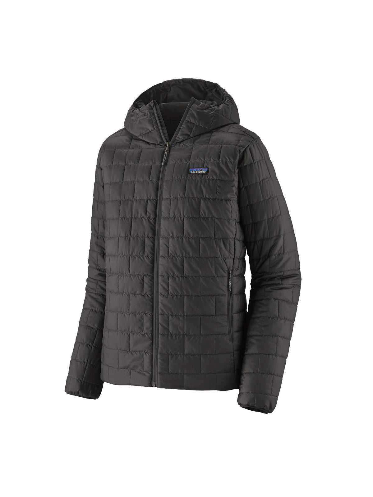 Patagonia Men's Micro Puff Hoody Jkt Black