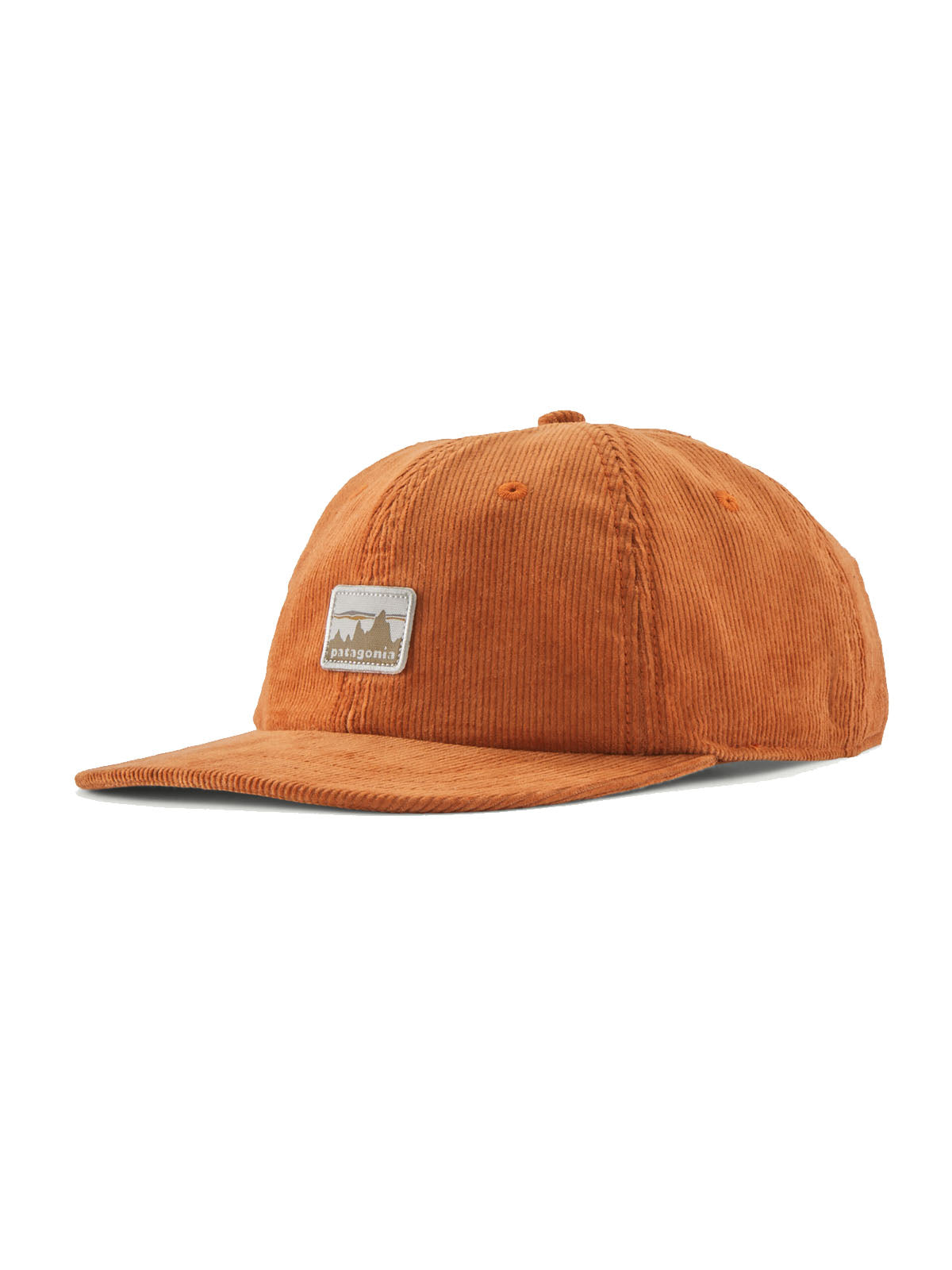 Patagonia Corduroy Cap '73 Skyline Robin Brown