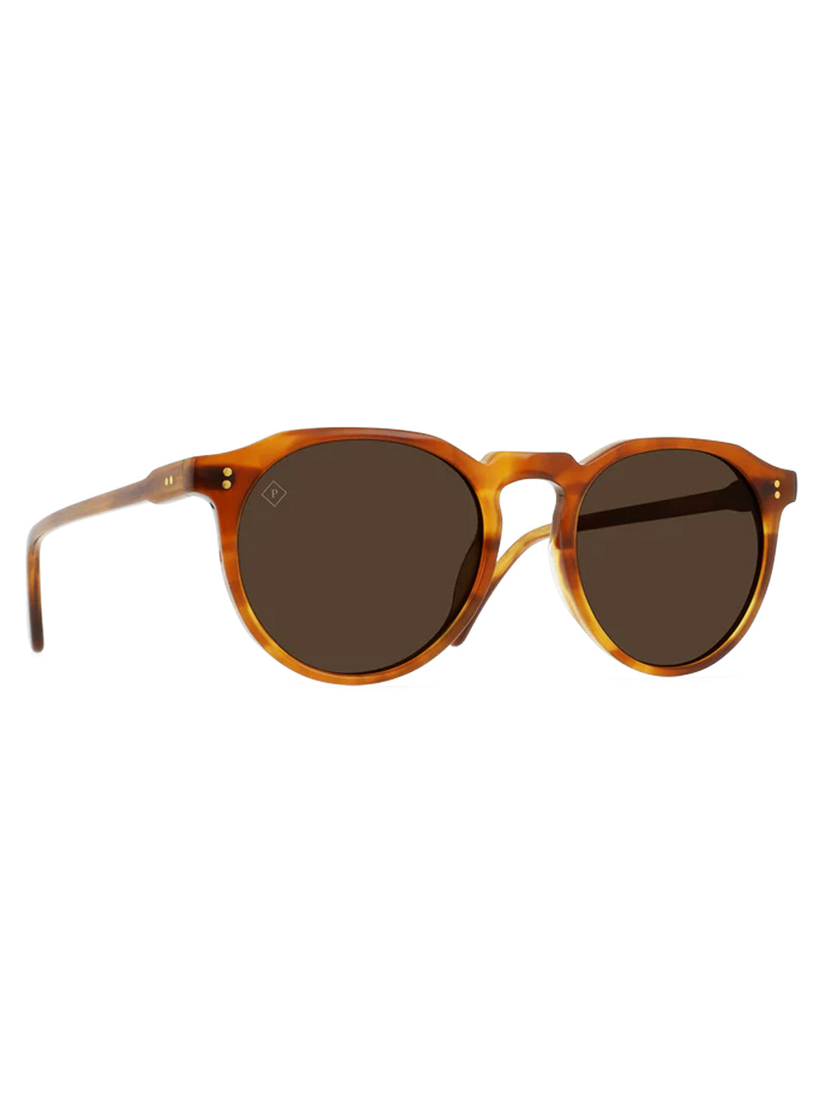 Raen Remmy 49 Santa Fe Tortoise / Vibrant Brown Polarized