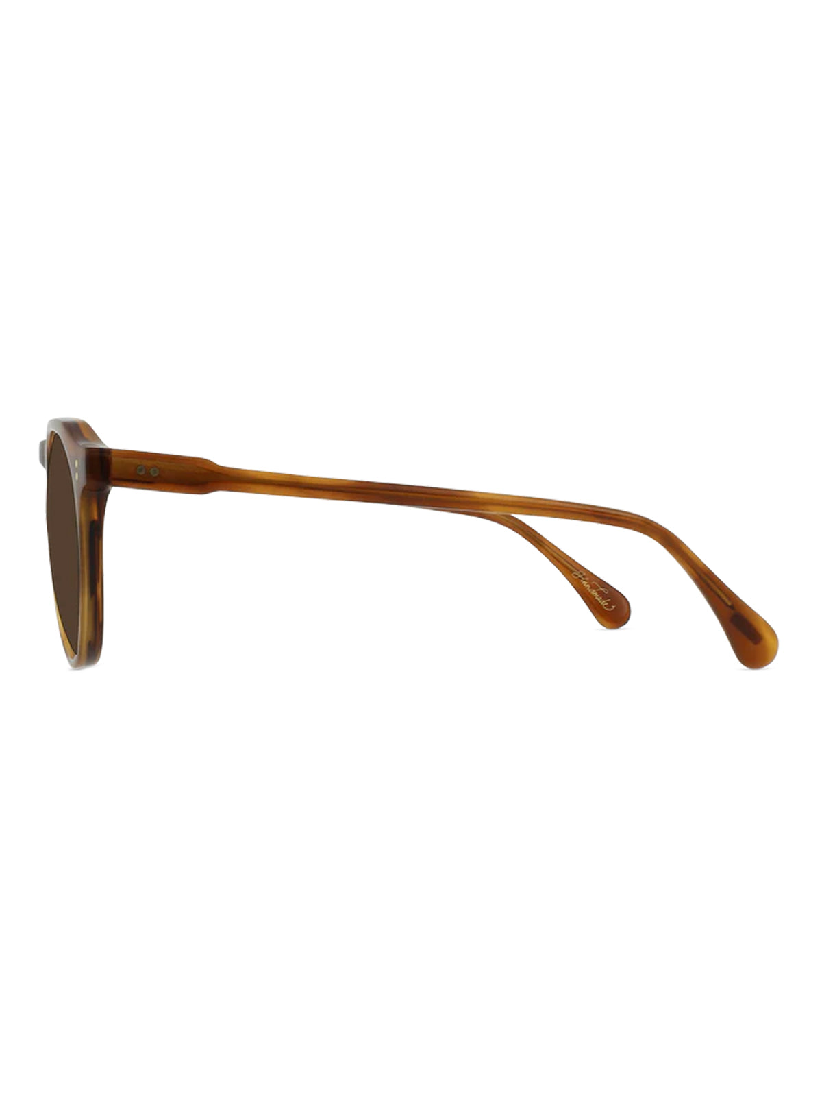 Raen Remmy 52 Santa Fe Tortoise / Vibrant Brown Polarized