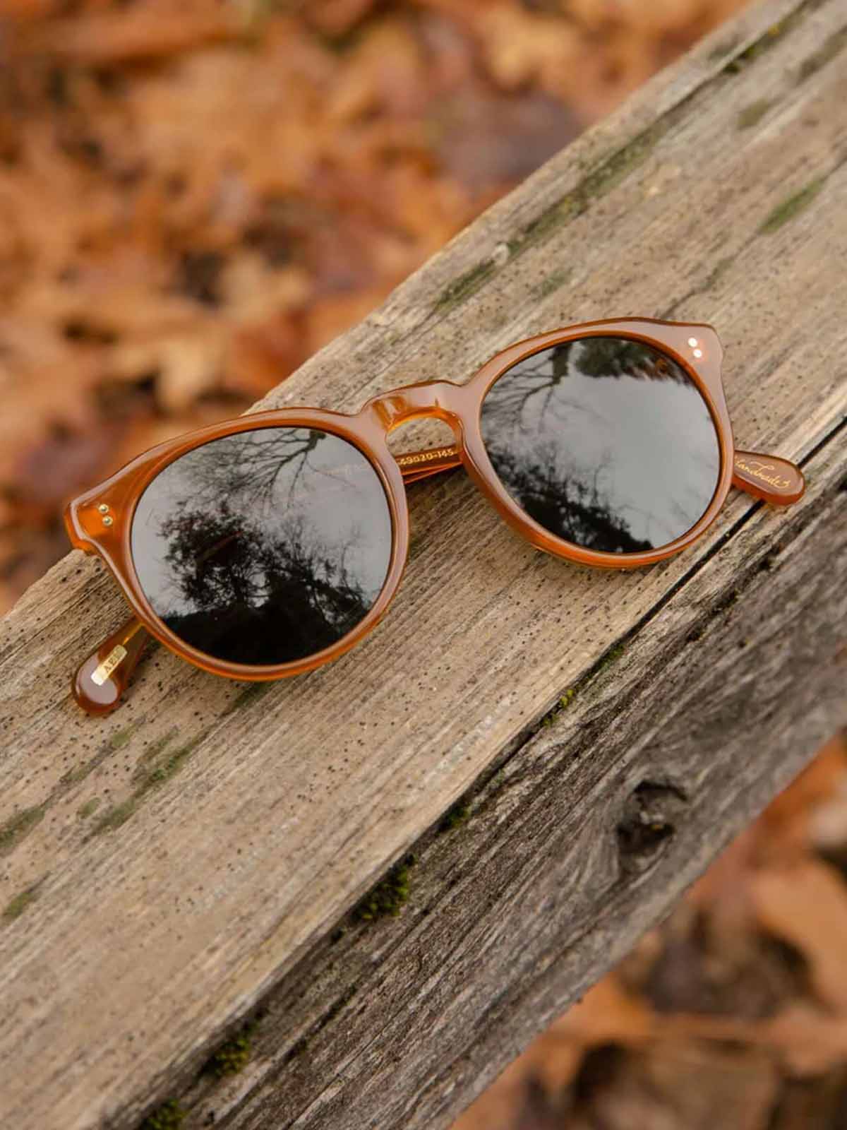 Raen Remmy 52 Santa Fe Tortoise / Vibrant Brown Polarized