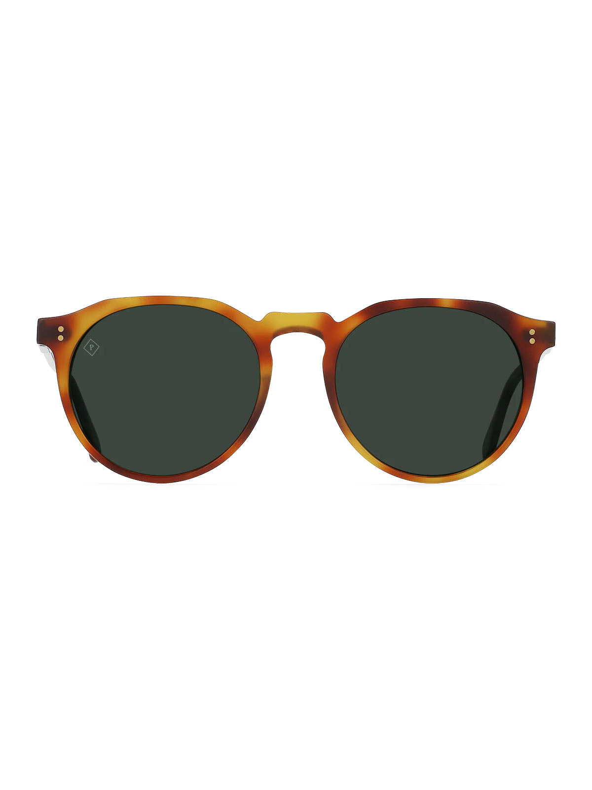 Raen Remmy 49 Split Finish Moab Tortoise / Green Polarized