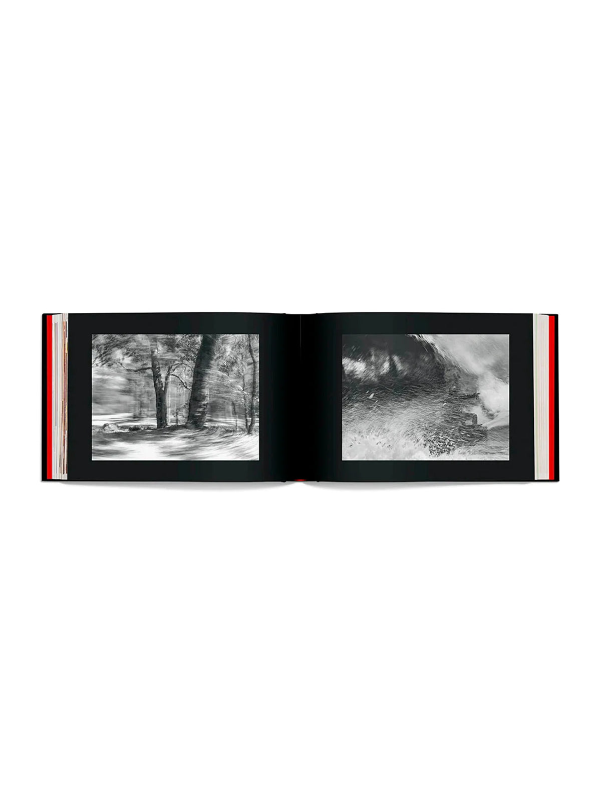 Wasted Talent "Dark Hollow" Photo Book
