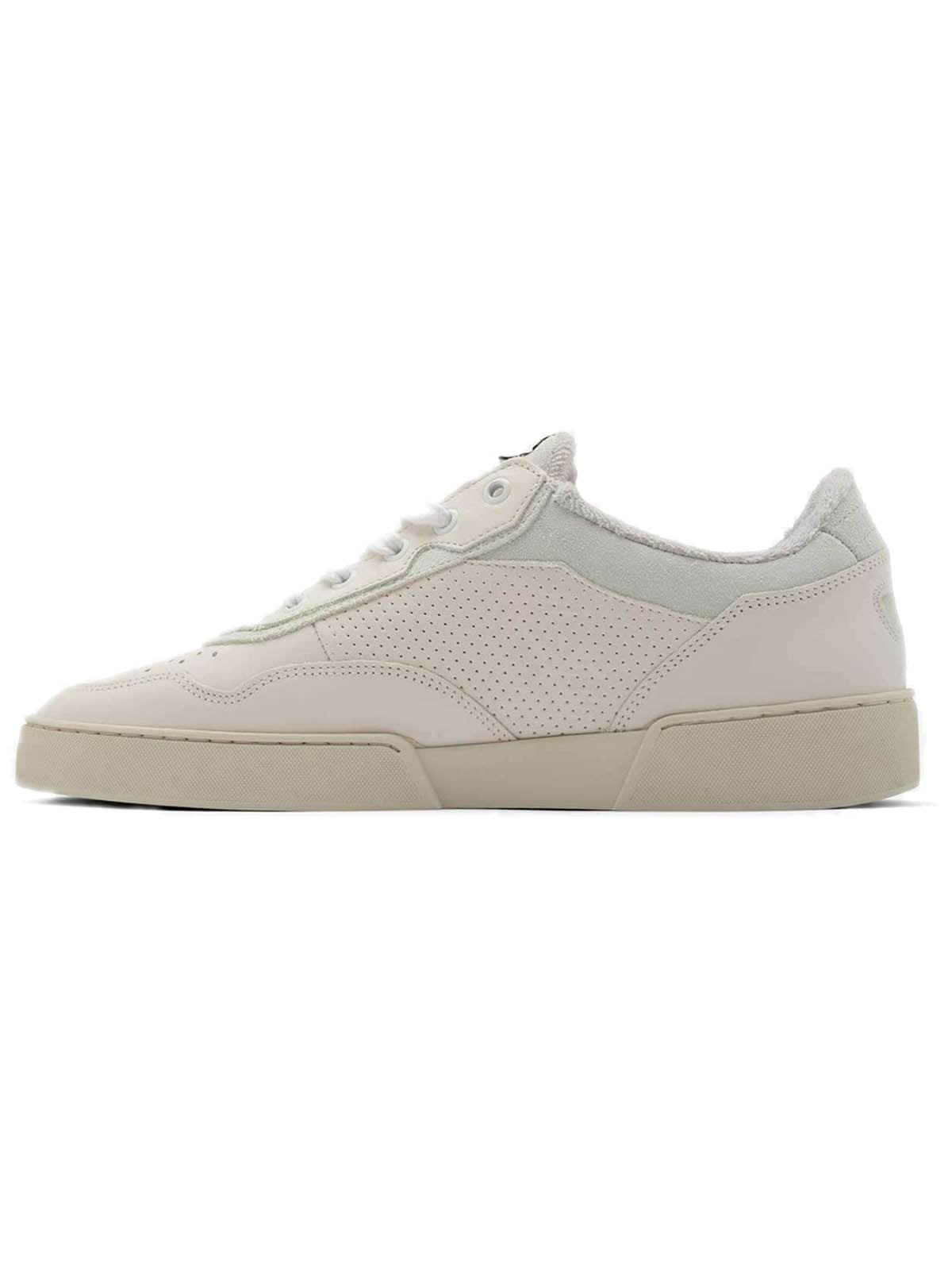 ekn Daisy White