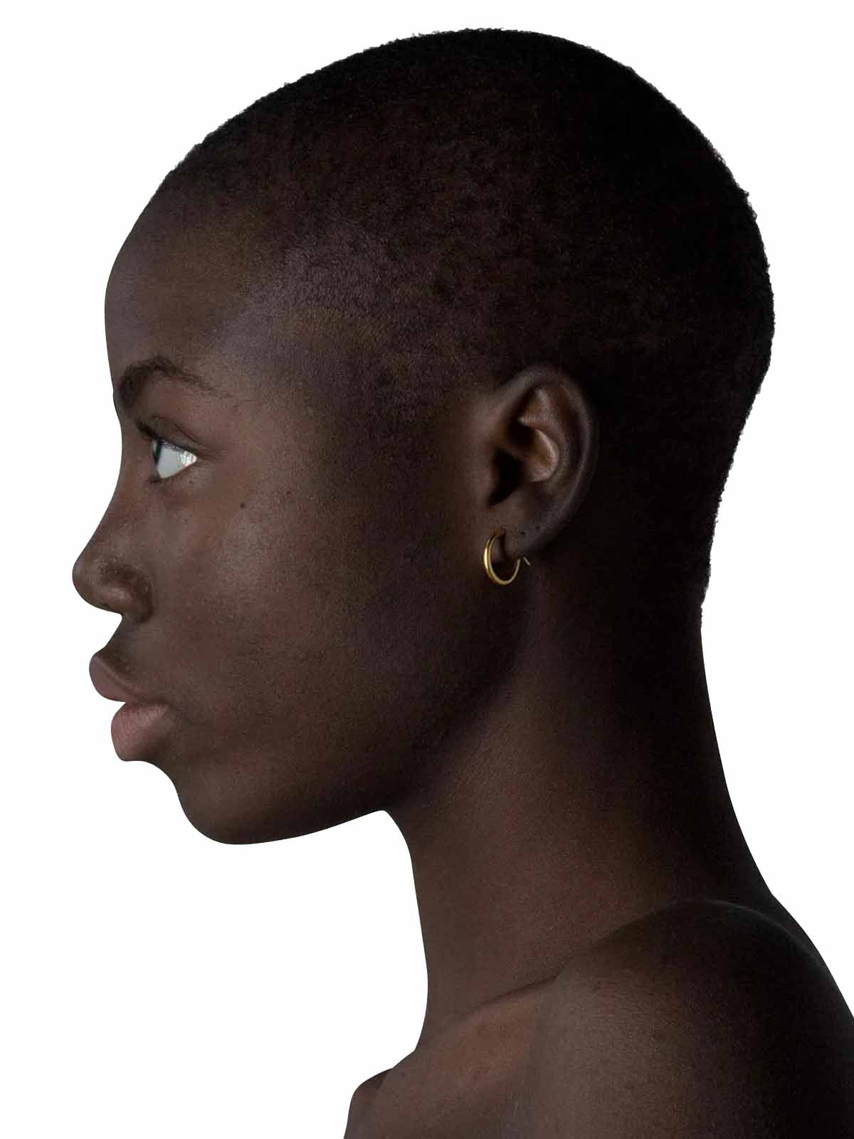 Les Solides Hoops 1-5 Click Gold