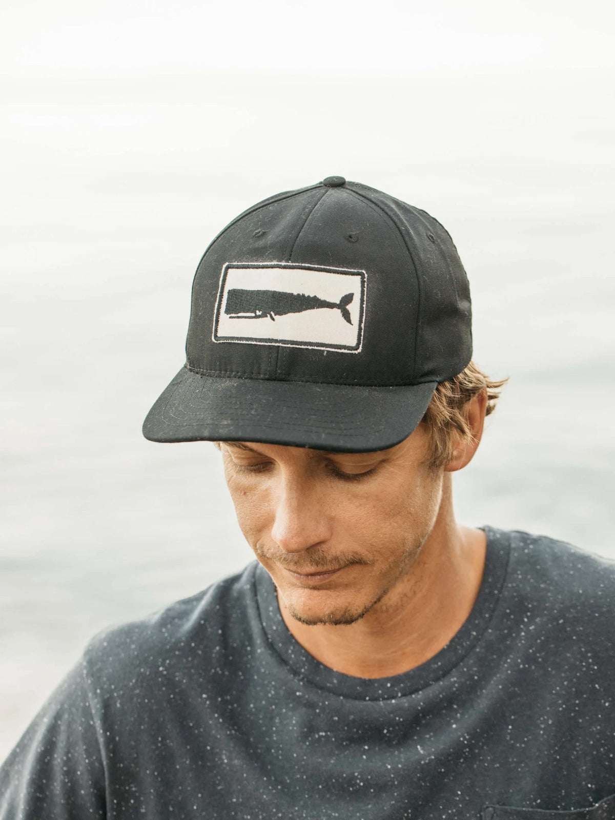 Mollusk Whale Patch Hat Black