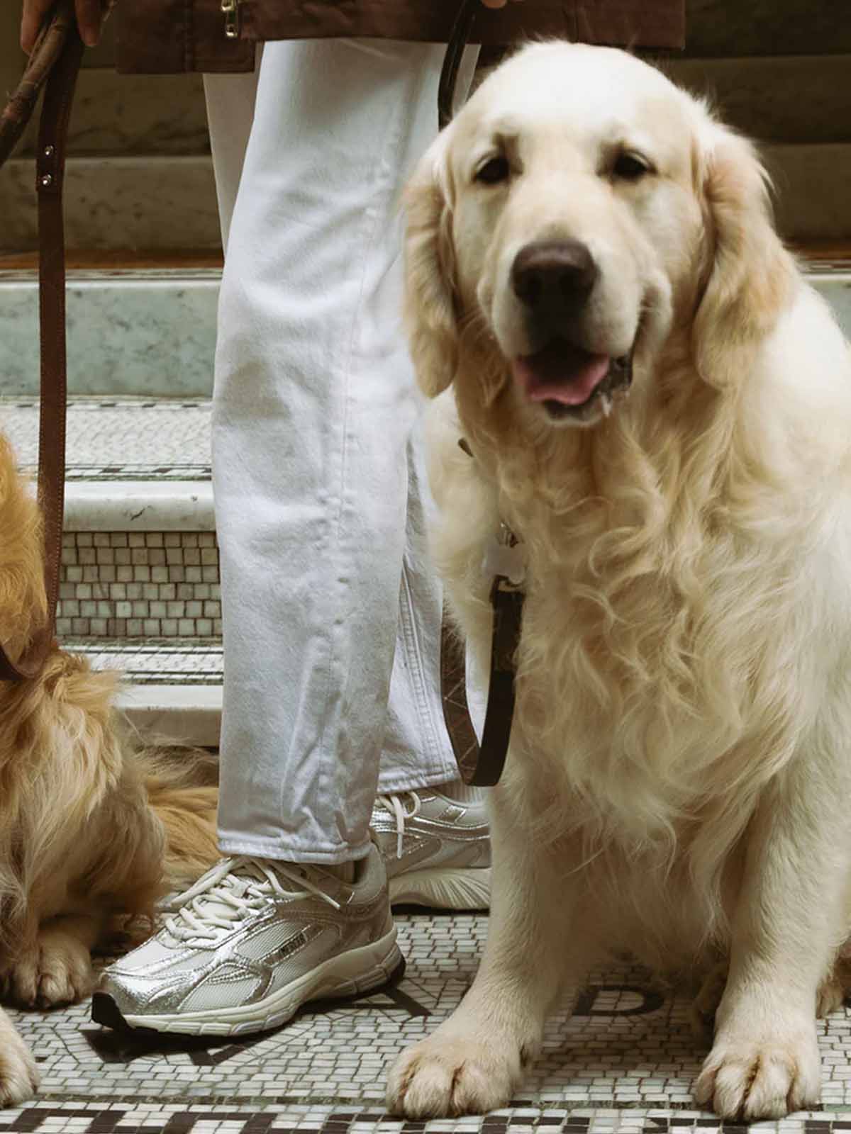 Mercer The Re-Run Pineapple 2.0 Silver