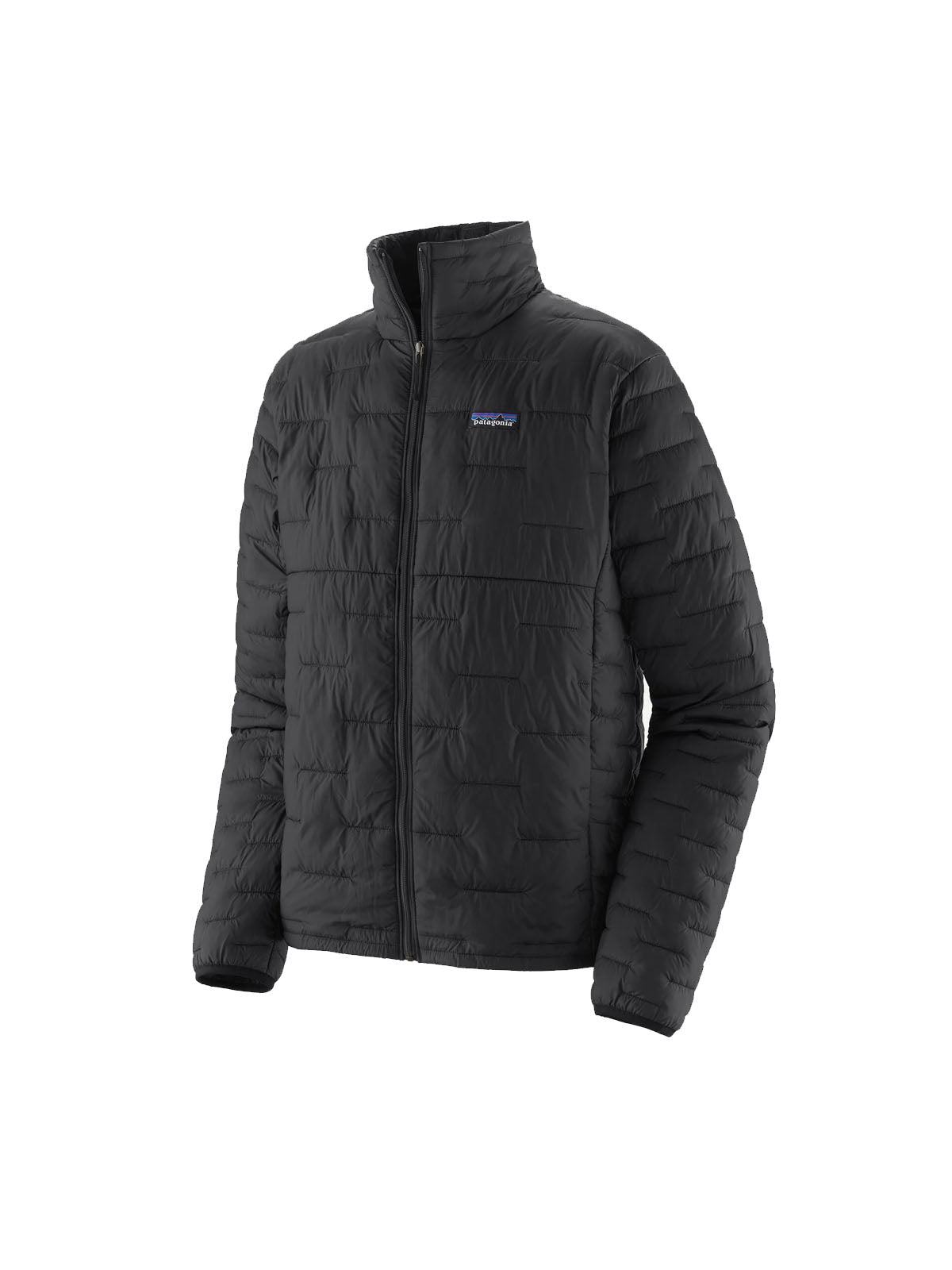 Patagonia Men's Micro Puff Jkt Black