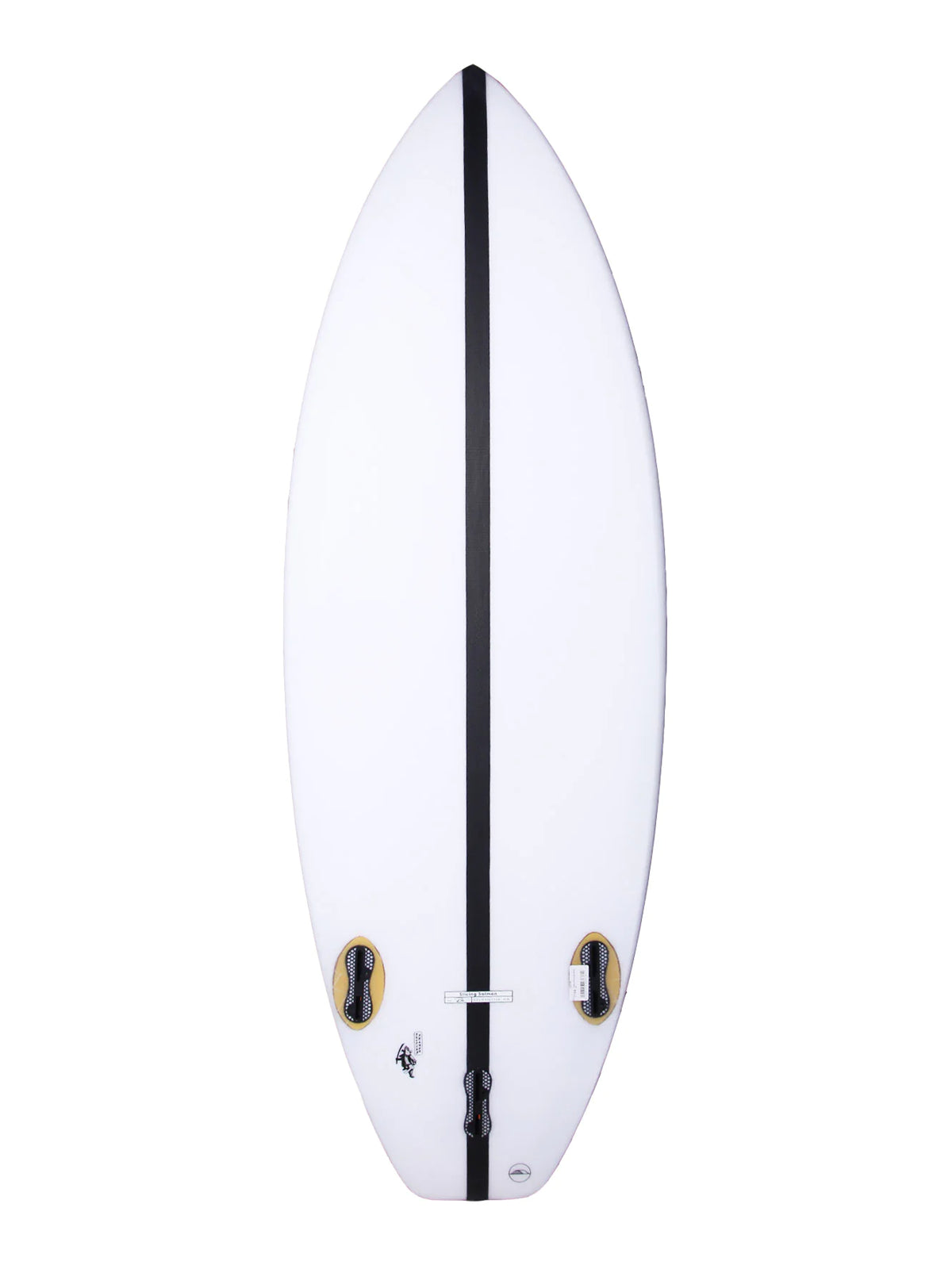 Visitor Pool Slicing Salmon 5'2