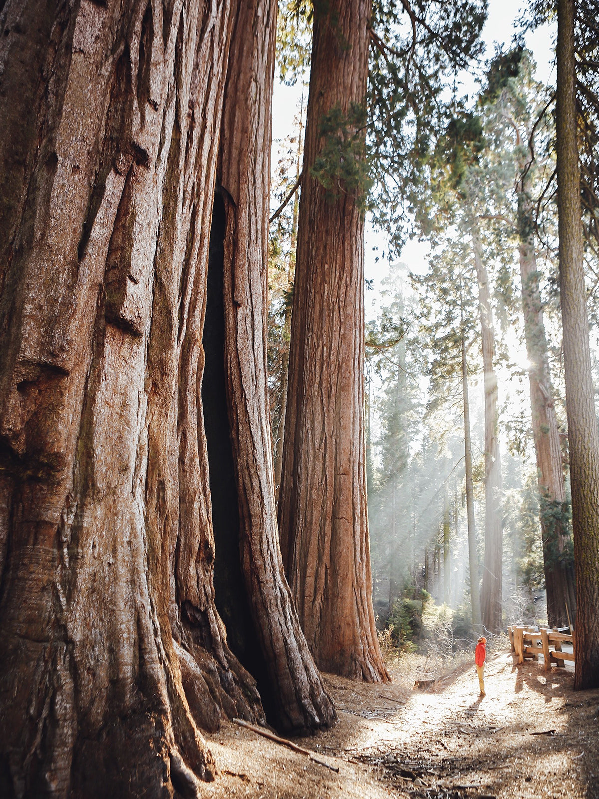 Gestalten The Hidden Tracks