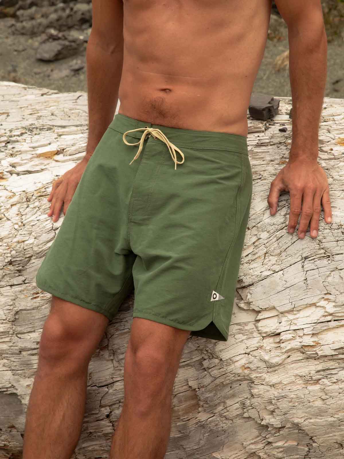 Mollusk Scallop Trunks Deep Forest